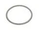 BOSCH-O-Ring-160x10-everp-7747007986 gallery number 1